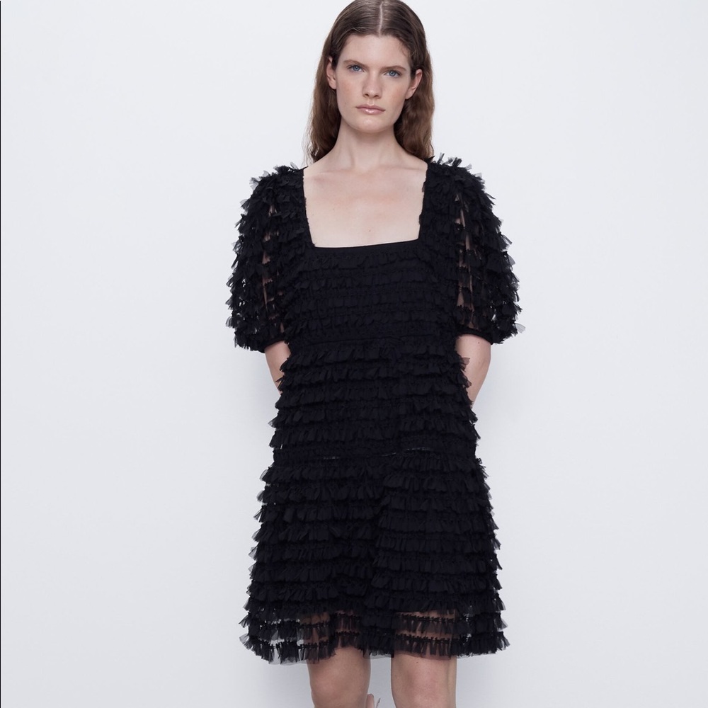 NWT Zara Tulle Dress with Fringing